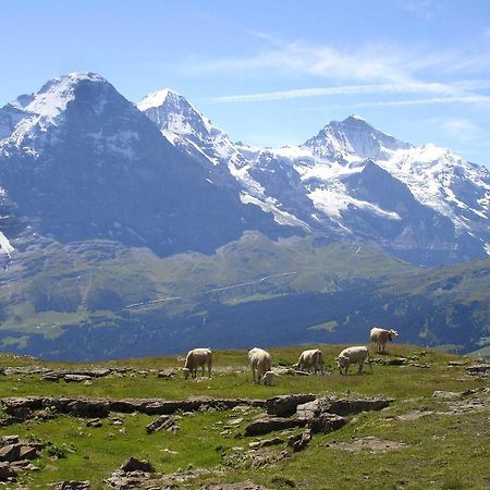 Beim See Grindelwald Zewnętrze zdjęcie