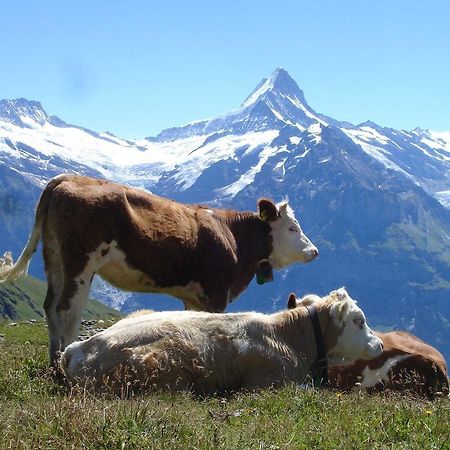 Beim See Grindelwald Zewnętrze zdjęcie