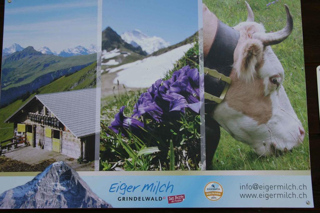Beim See Grindelwald Zewnętrze zdjęcie